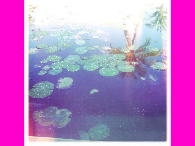 Lotus Pools reflected the Ultra Greater Reality.
